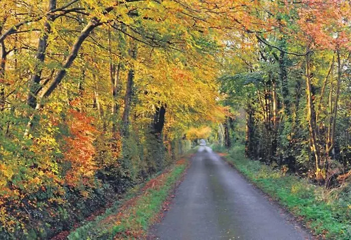 Greenway Муллингар